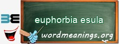 WordMeaning blackboard for euphorbia esula